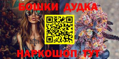 мдпв Пенза