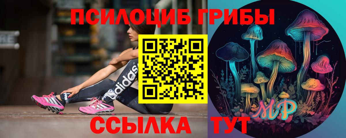 Псилоцибиновые грибы GOLDEN TEACHER Тамбов