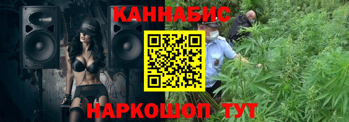 Бошки Шишки Bruce Banner  Бошки Шишки SATIVA & INDICA  Тамбов  Вход с VPN  Бошки Шишки гибрид 